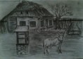/album/ceruzarajzok-grafit-szen-szines-/tanya1-jpg/